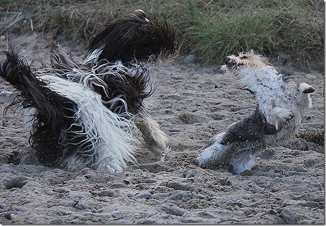 Spielen am Strand