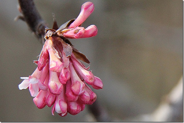 Wir haben ein klitzekleines bisschen den Frühling gesehen