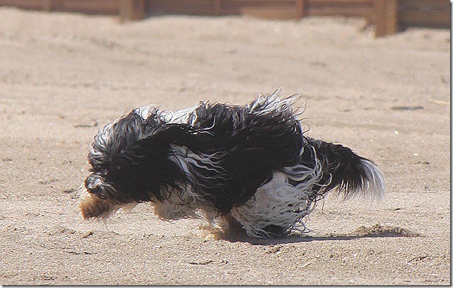 Am Strand