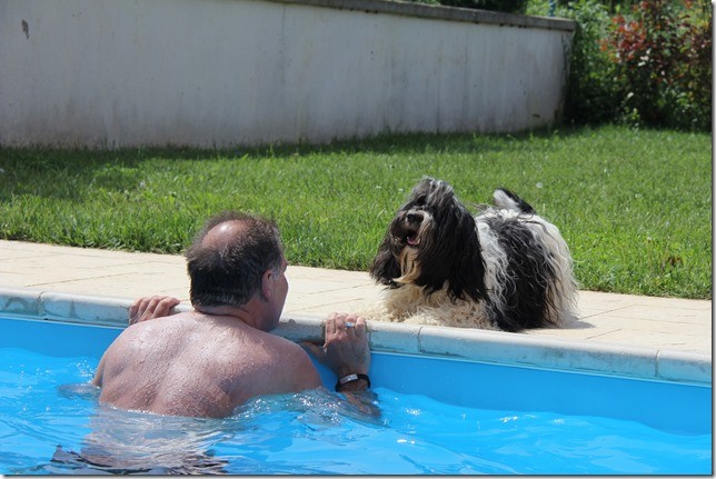 Ich hab meine Schwimmflügelchen nicht mit, VATTER!!!!