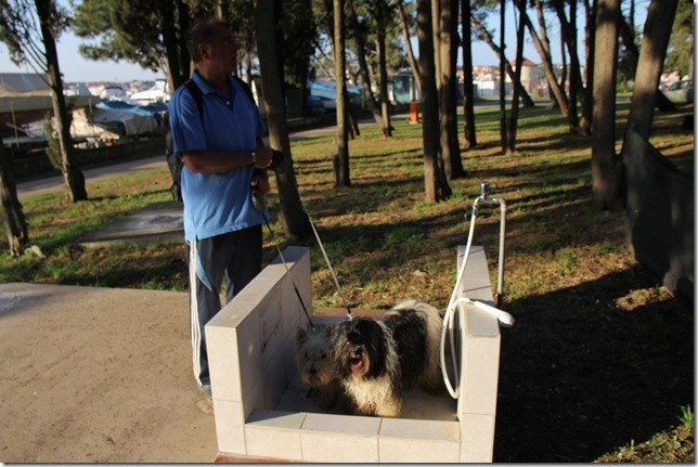 Hundedusche in Medulin