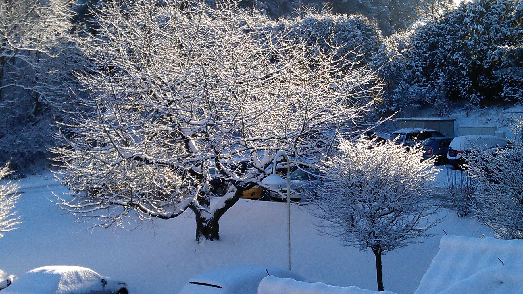 Morgens Blick aus dem Fenster... damit hat keiner gerechnet! So schön!