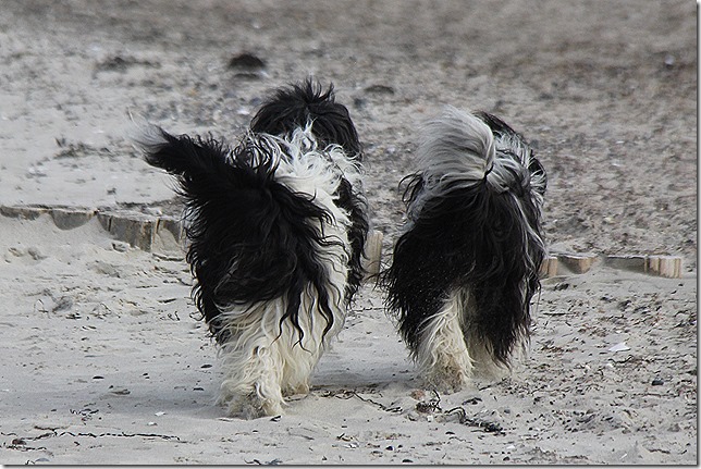 links Willma, rechts Amara