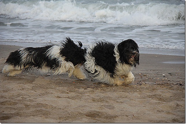 Strand am Abend