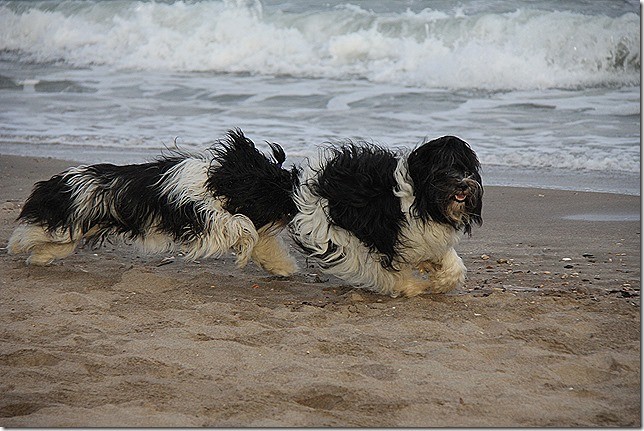 Strand am Abend