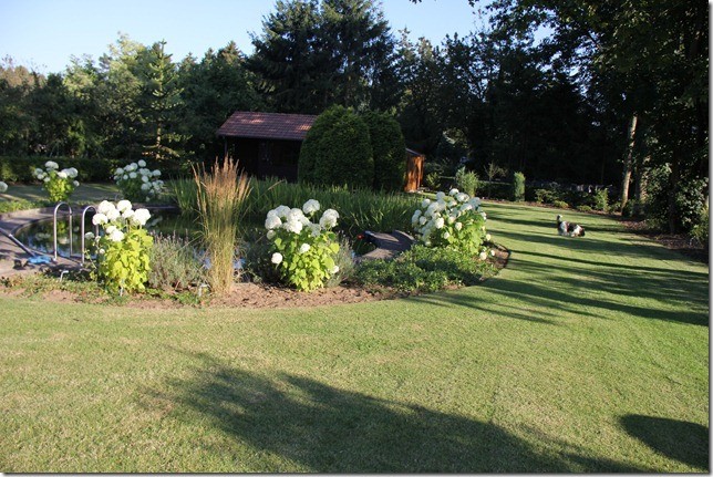 Der Garten gehört zum Ferienhaus