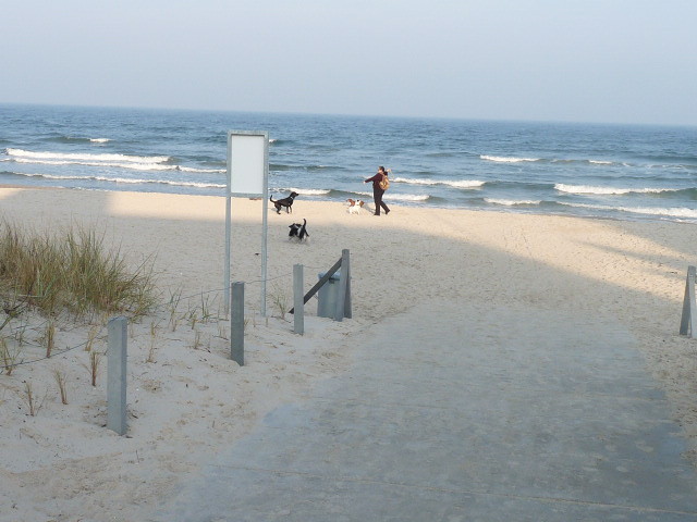 Der Strand! Ein einziger Traum!