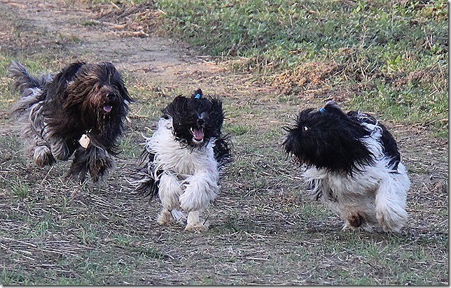 Moritz, Amara und Willma