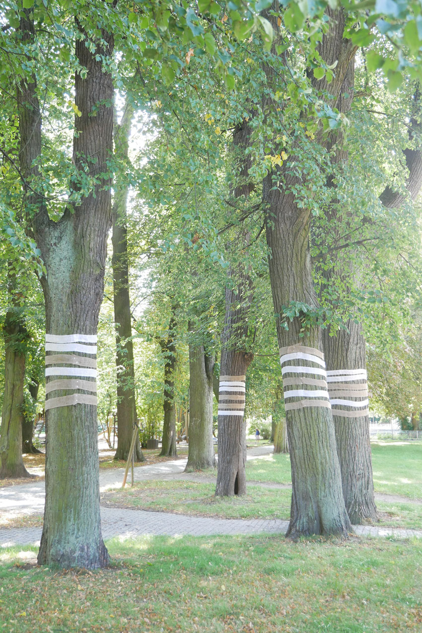 Installations Netherland / Germany Fotografie, Photography, bildende