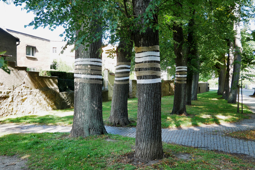 Installations Netherland / Germany Fotografie, Photography, bildende