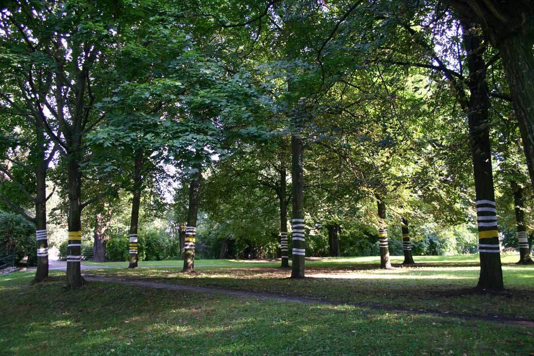 Installations Netherland / Germany Fotografie, Photography, bildende