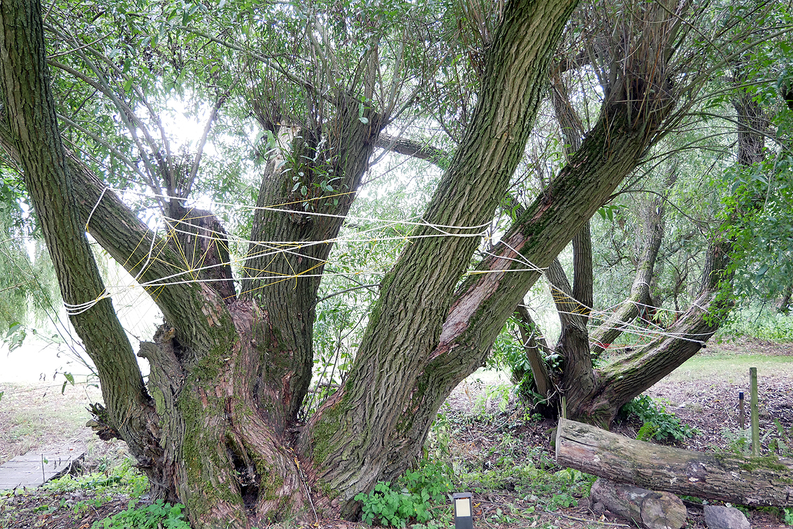 Installations Netherland / Germany Fotografie, Photography, bildende