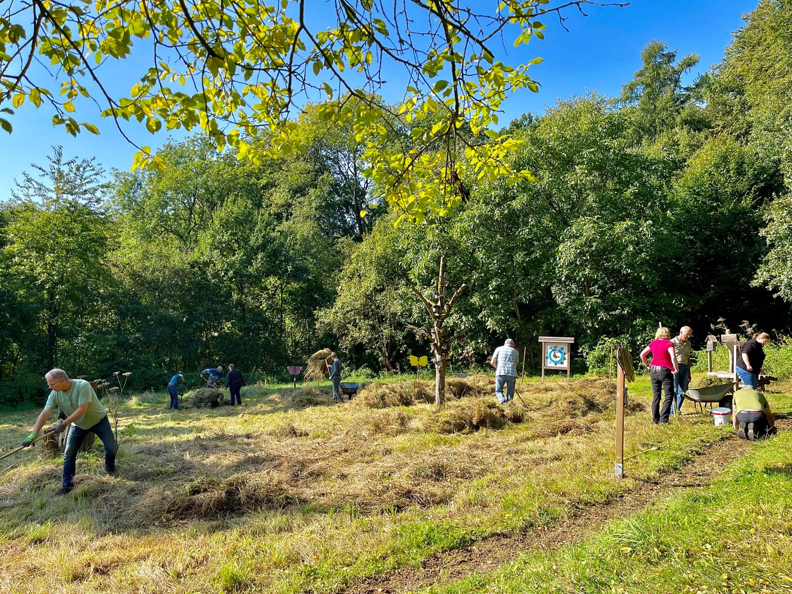Pflegeeinsatz auf der Naturerlebniswiese im Bexaddetal