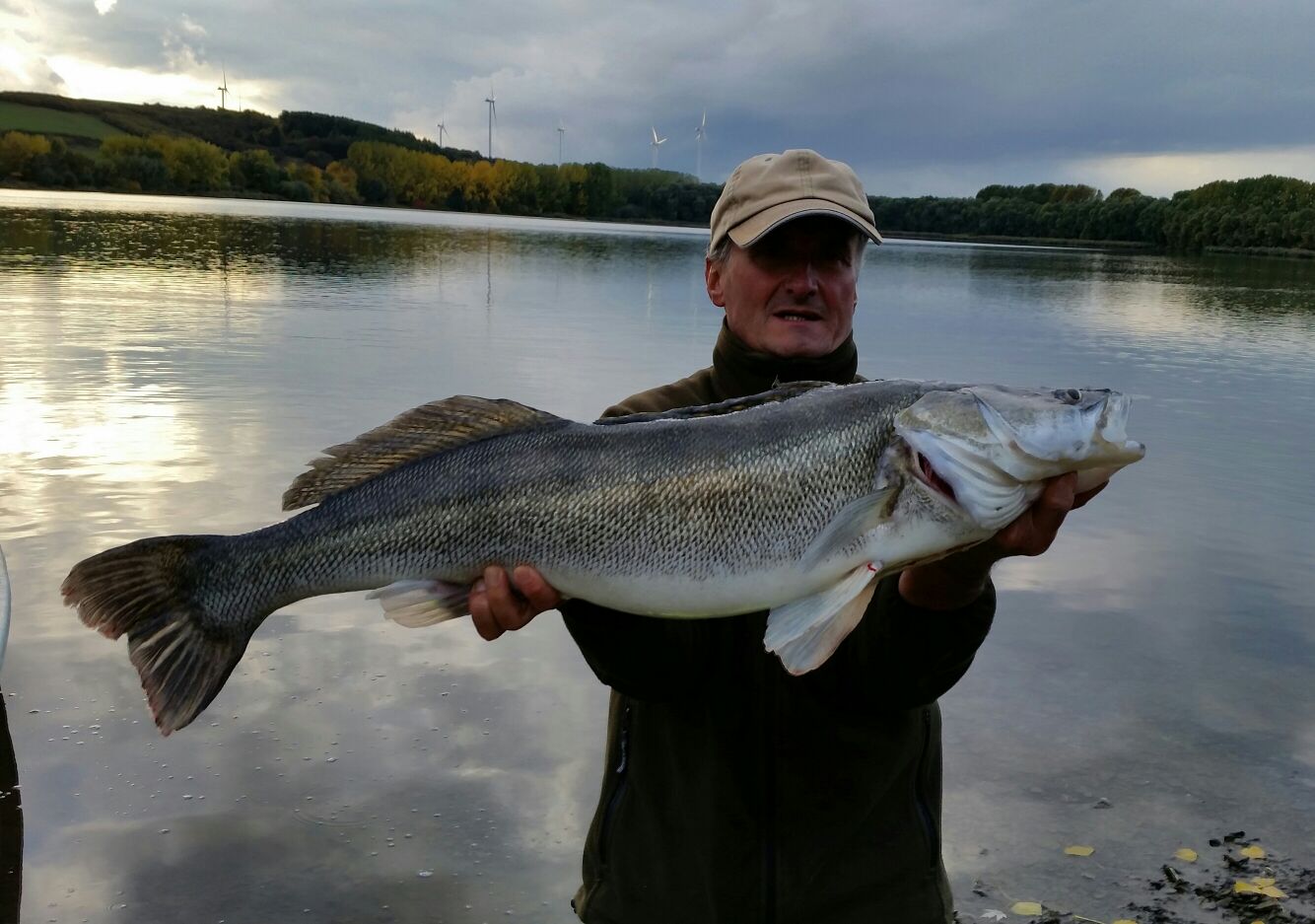 Zwei Bisse ein Fisch und der hat´s in sich an diesem Tag. Herrliche 91 cm.