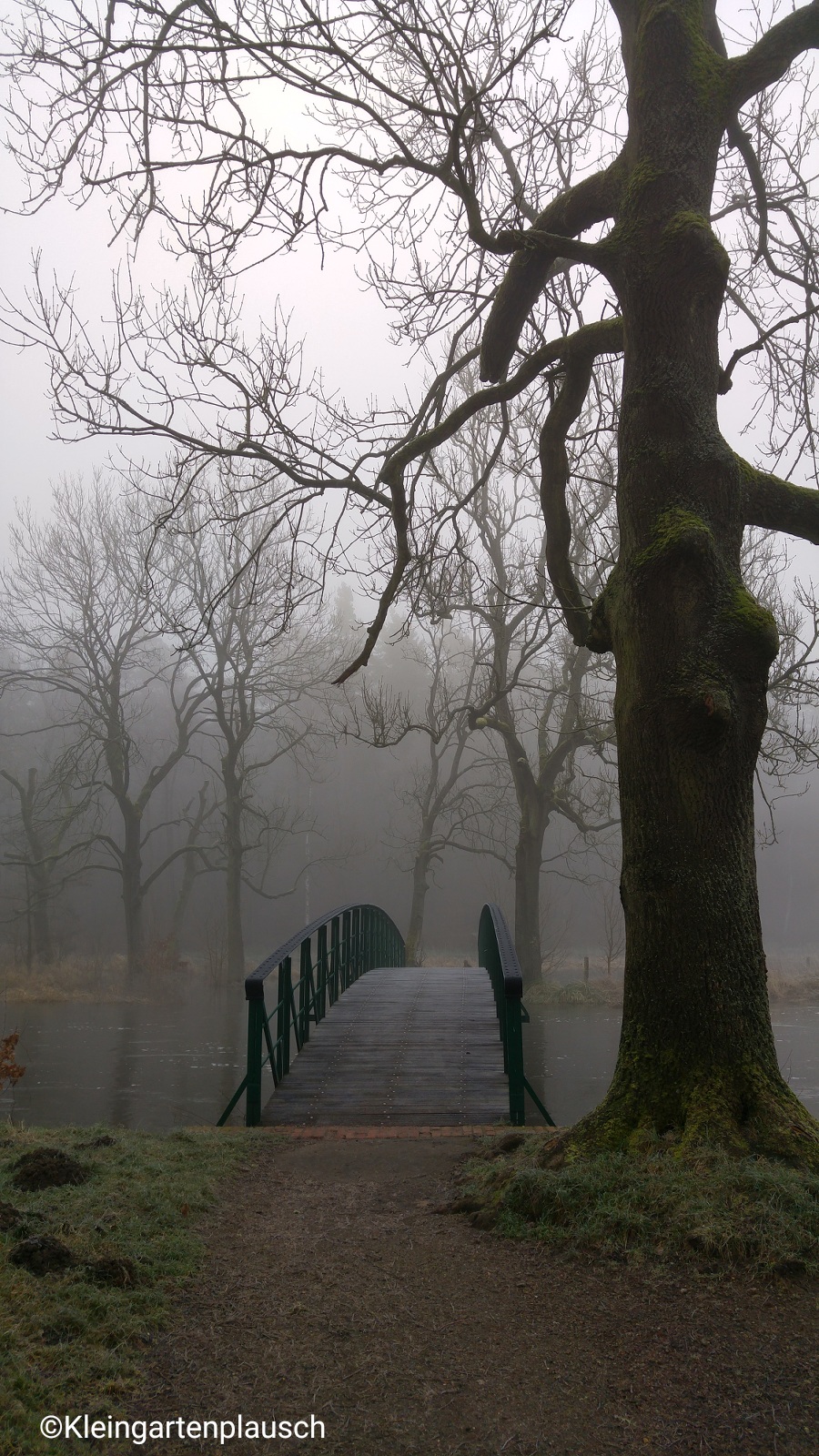 Hier dachte ich, taucht gleich wirklich "das Brückengespenst" aus dem Nebel auf: Mit der launigen Rezitation des gleichnamigen Gedichts des Schweizers Carl Spitteler hat mich meine in hohem Maße gedichtsaffine Mutter als Kind oft genervt 😉. Mal googeln, es ist ganz niedlich...