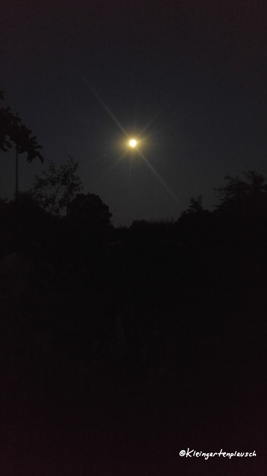 Wir starten mit einem Blick auf Nachbars Pergola und den immer volleren Mond, der hier eher wie ein kleineres Licht am Nachthimmel leuchtet...