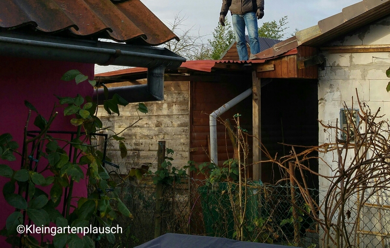 Dies ist nicht der Dachdecker, sondern Lieblingsgärtner beim Abriss des Schuppens ...