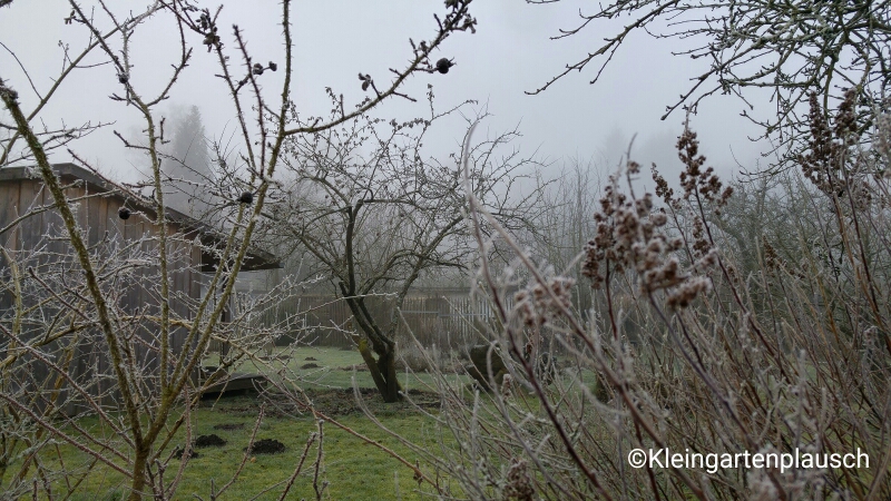 Winterverwunschener Obstkleingarten mit schöner Holzhütte...