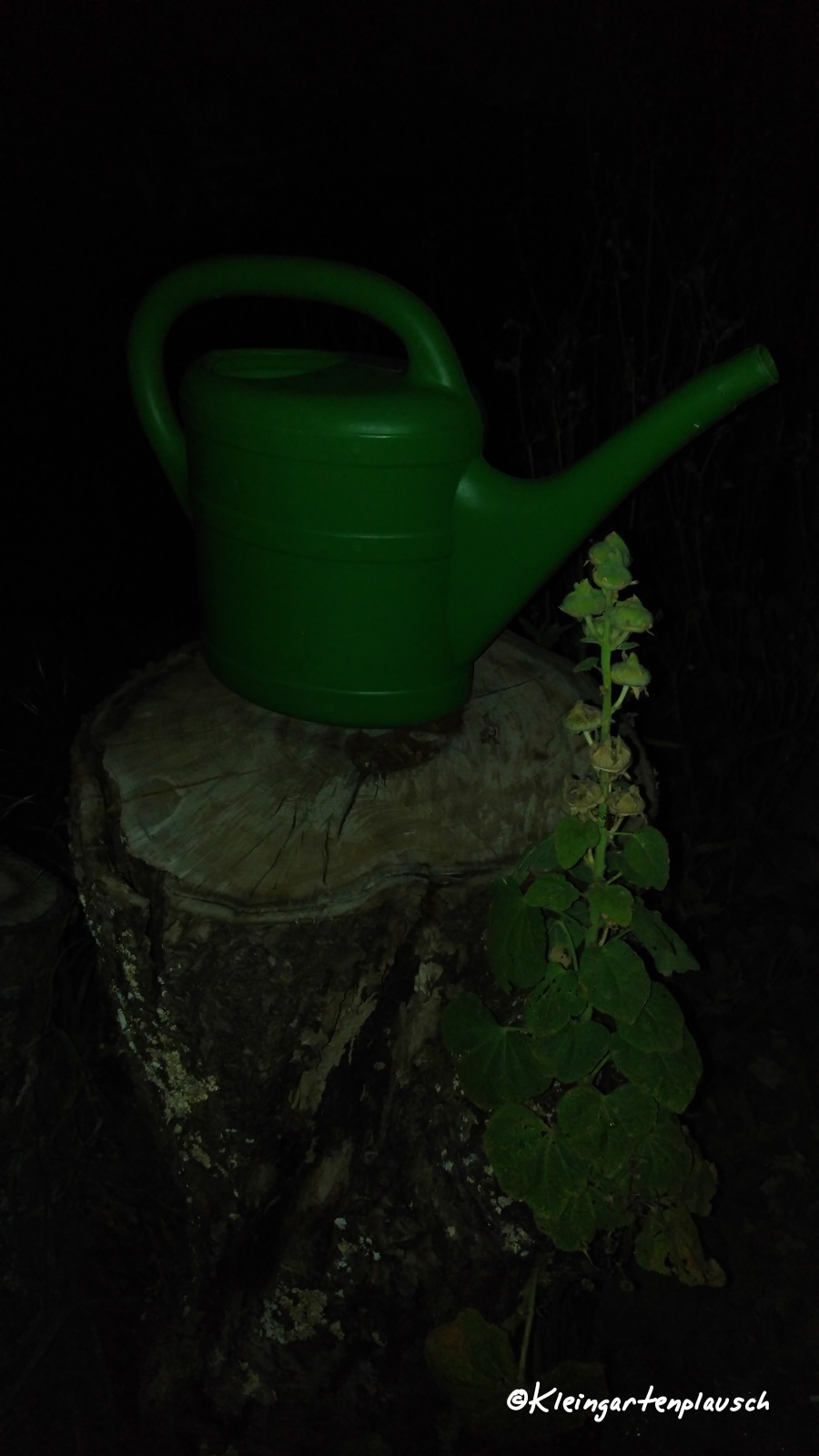 Eine von zwei Gießkannen - die wichtigsten Arbeitsgeräte im Projektgarten...