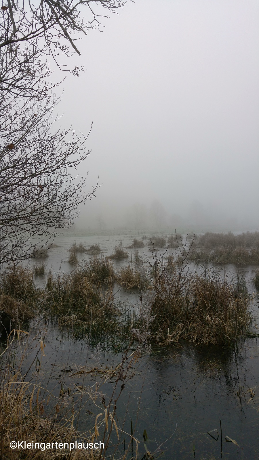 Ist ja keines, aber diese Stelle wirkte wie ein Moor, finde ich ...