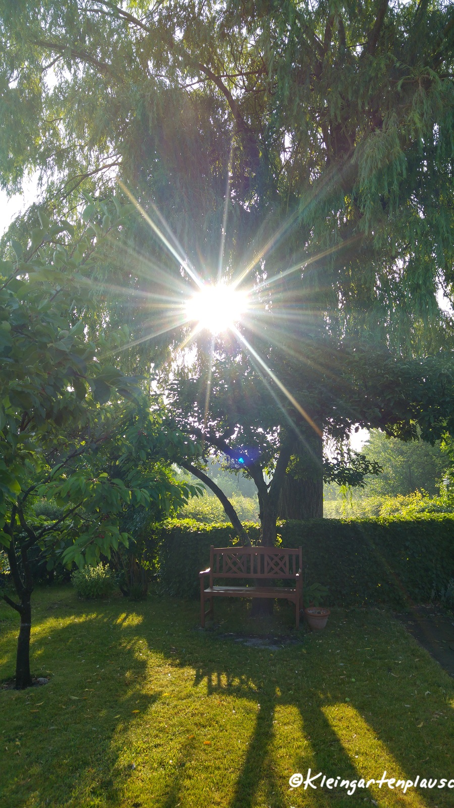 Ein im Wortsinne strahlend schöner Morgen im Kleingarten beginnt...