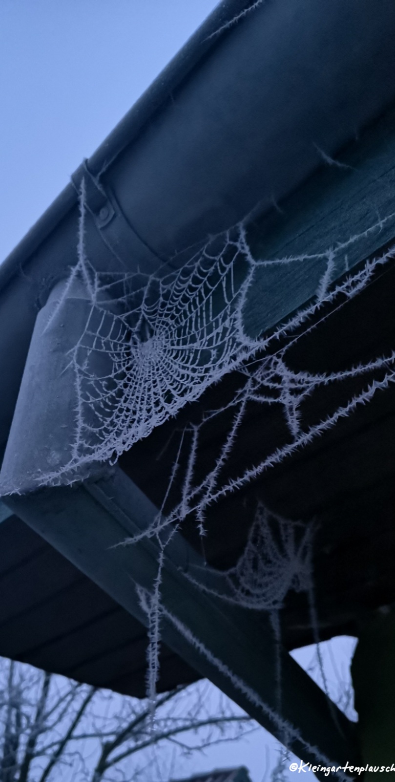 Der Frost zeigt bisher Unsichtbares...