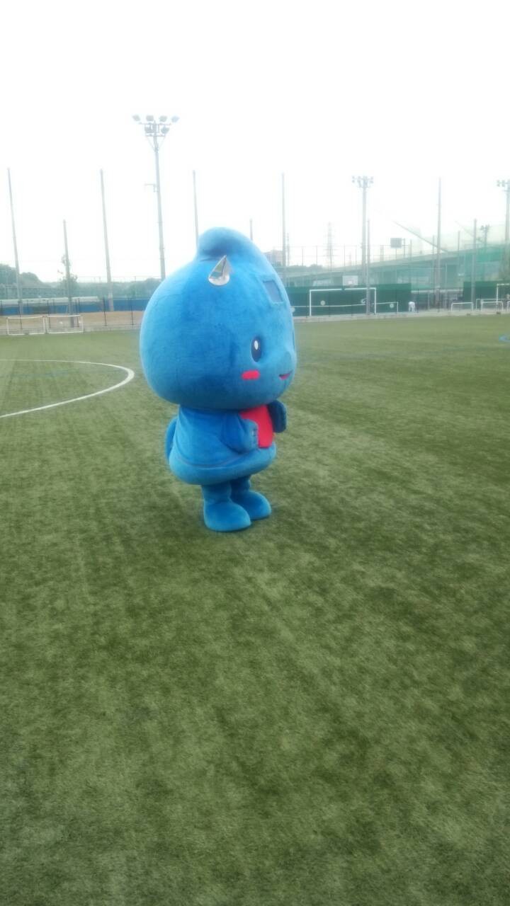 なでしこサッカーフェスタ