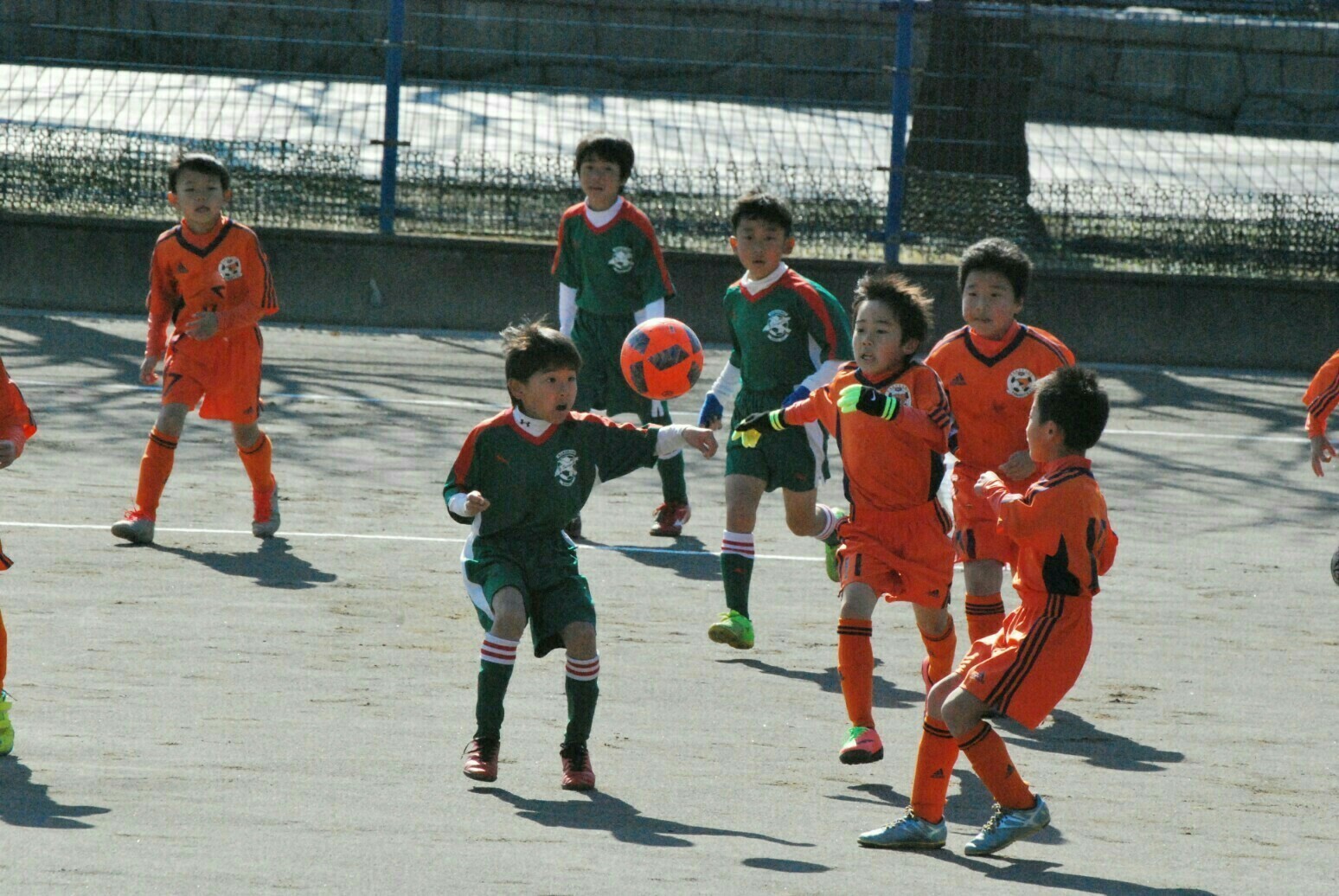 2/25 U-8 低特冬