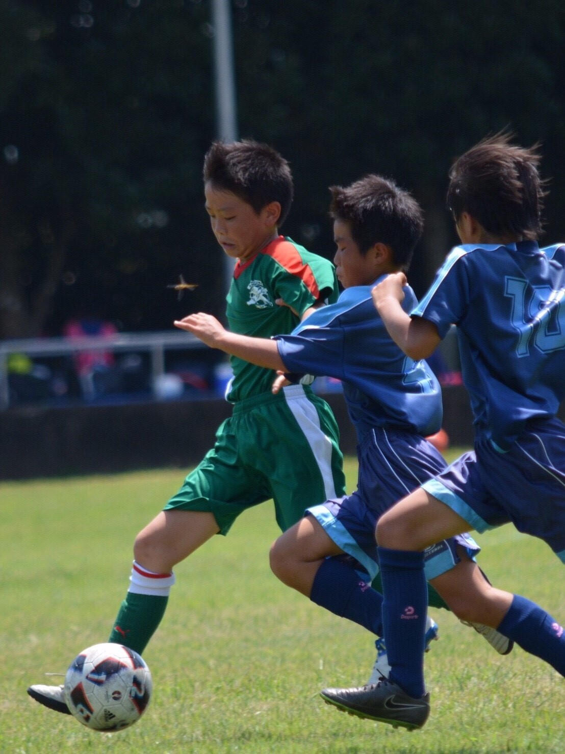 8/12～8/14 宿泊遠征 U-11A アスルクラロ Summer CUP