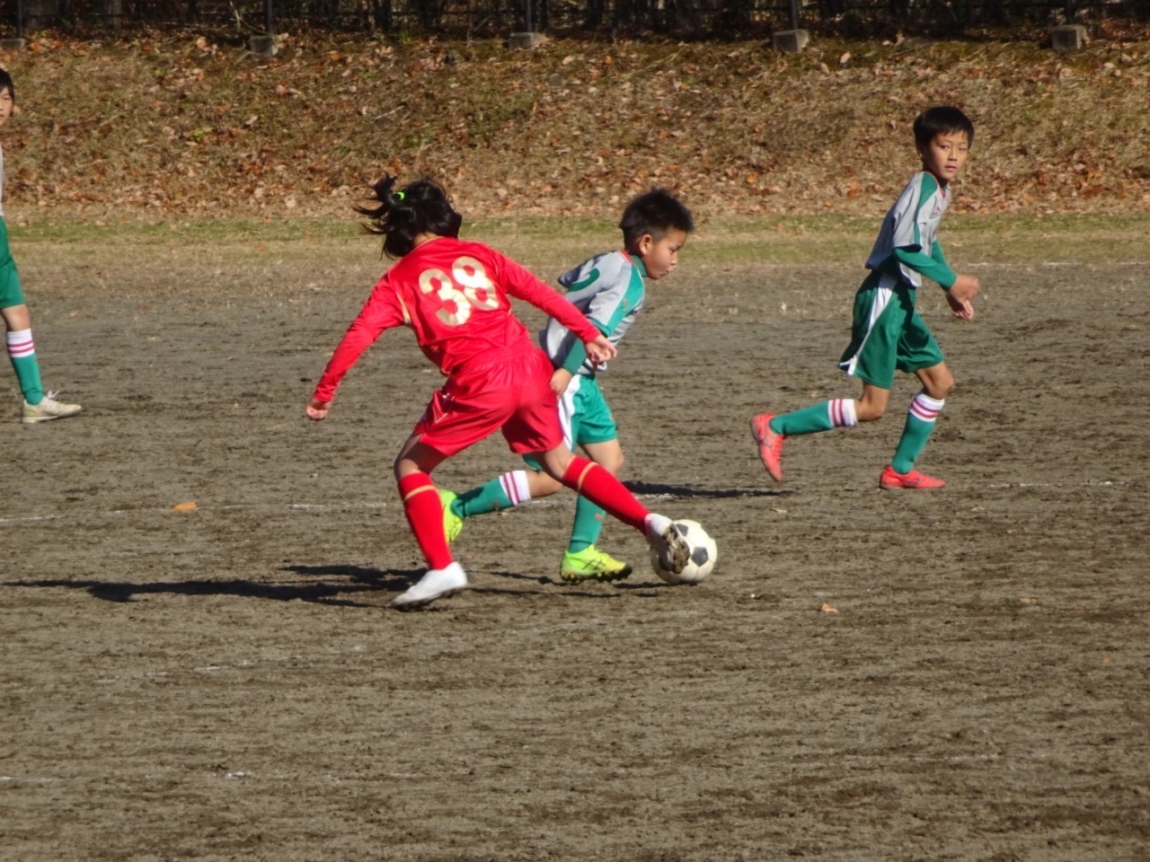 U 10 強化 横須賀シーガルズ スポーツクラブ ホ ムページ