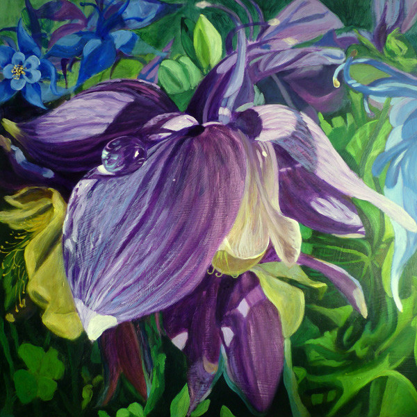 Akelai violeta, Acrylverf op paneel, 47cm x 47cm, 2010. VERKOCHT