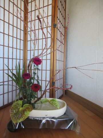 2月のお花