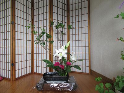 6月のお花