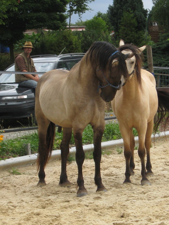 Salumé und Feivel mit Cowboy im Hintergrund