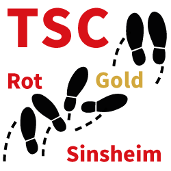 https://www.tsc-rot-gold.de/