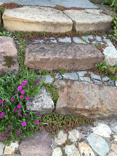 Pflegeleichter Garten ohne Rasen für chronisch Kranke heilsamepfades