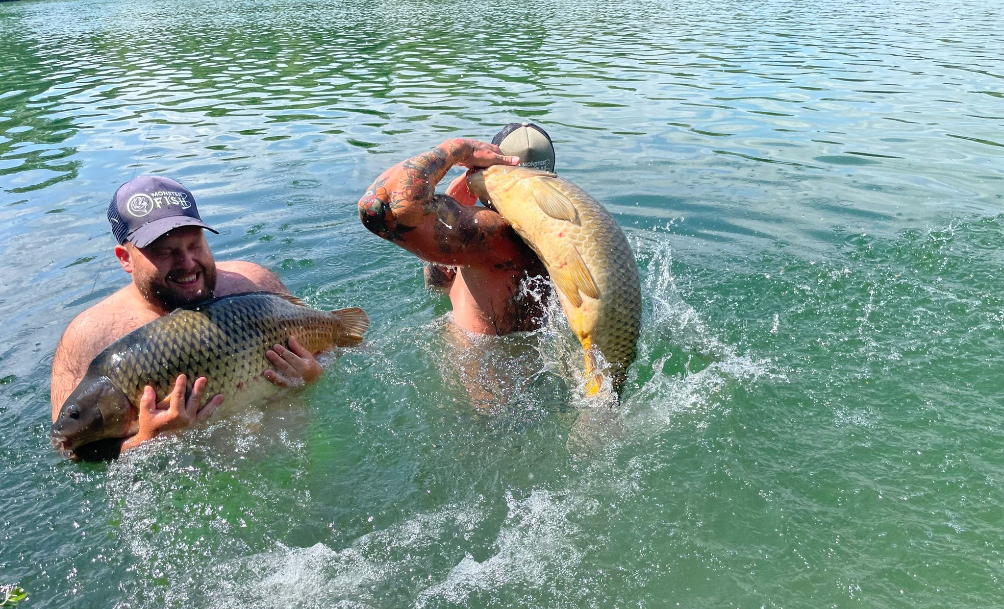 Catch & Release Karten für Gastangler 10ha Teich mit schweren Karpfen