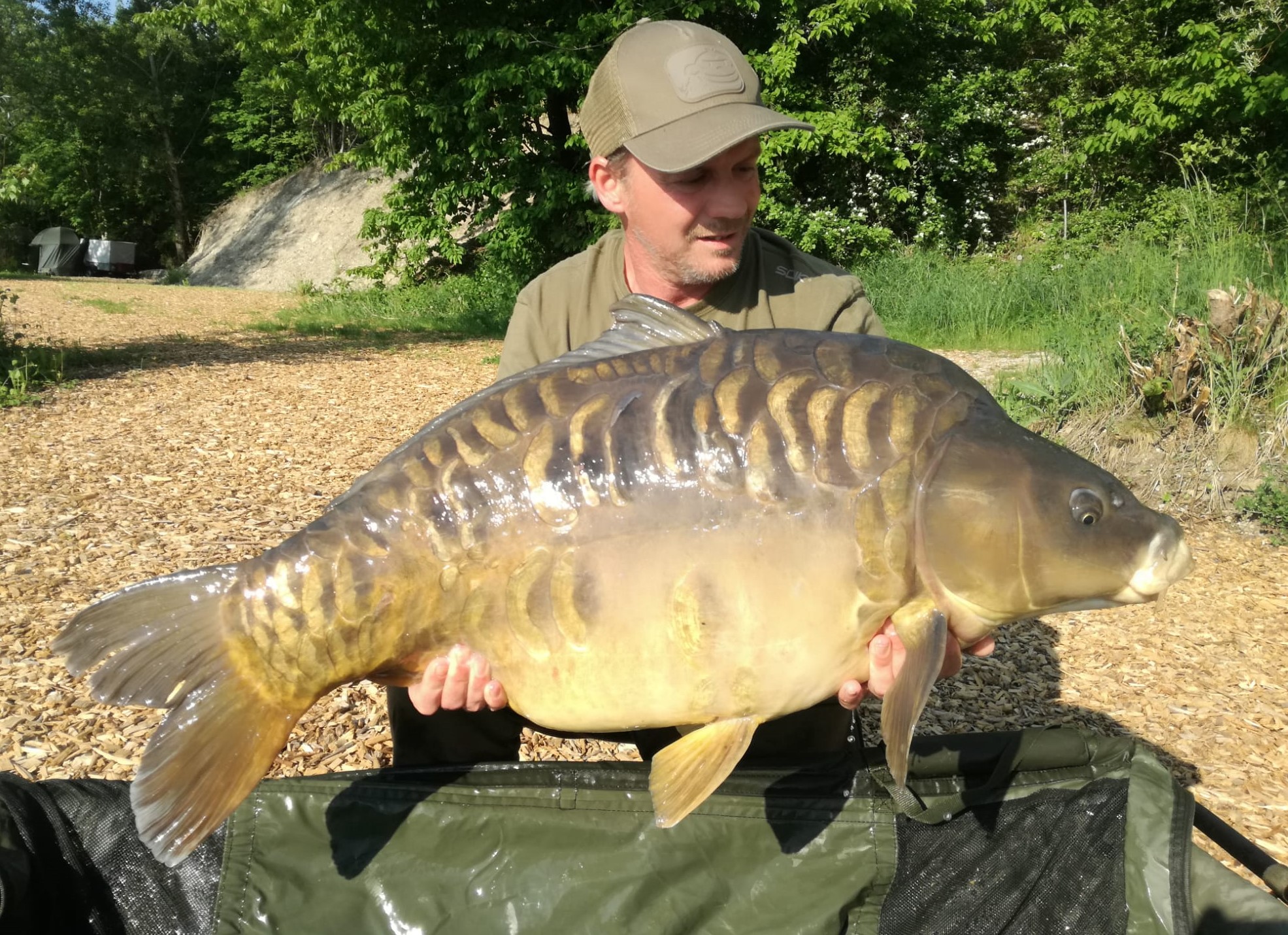 Catch & Release Karten für Gastangler 10ha Teich mit schweren Karpfen
