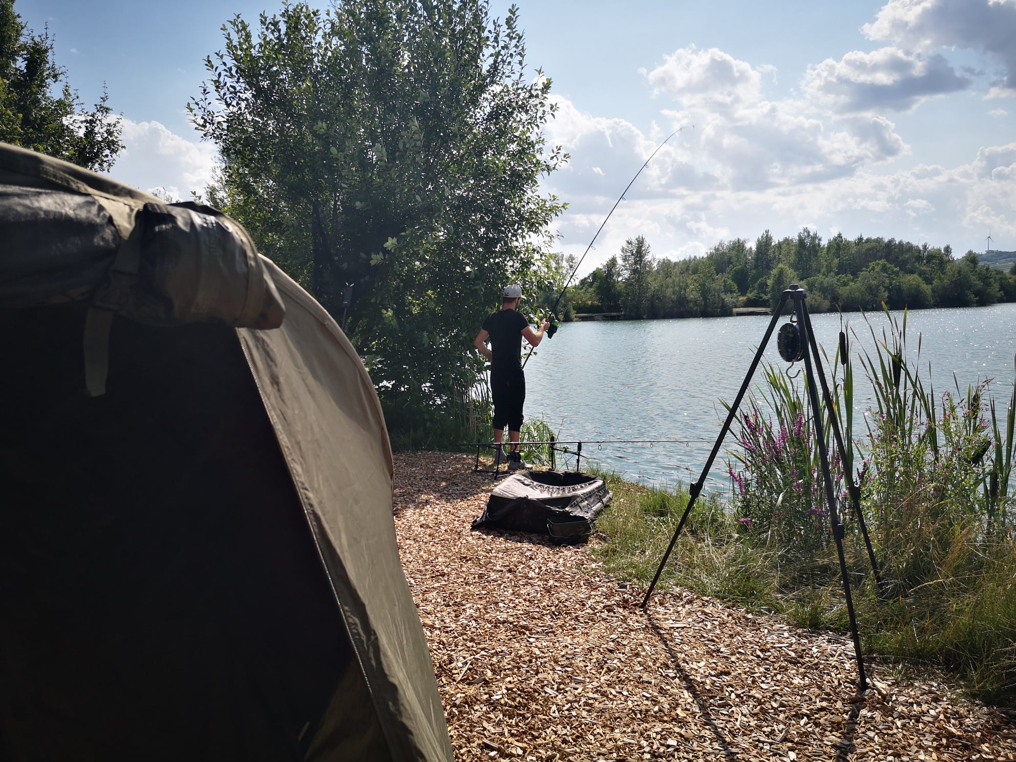 Catch & Release Karten für Gastangler 10ha Teich mit schweren Karpfen