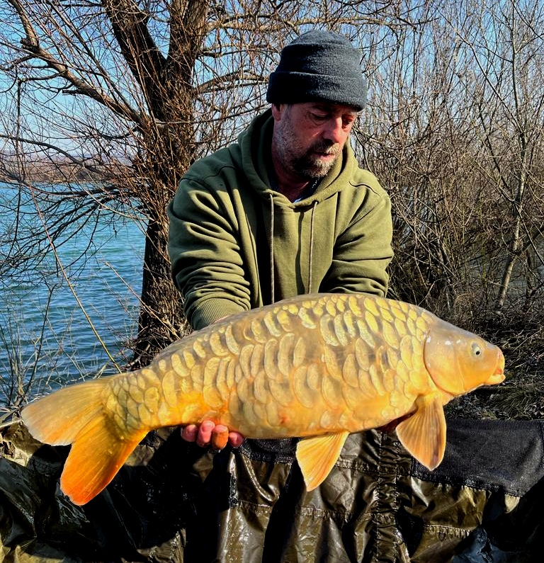 Catch & Release Karten für Gastangler 10ha Teich mit schweren Karpfen