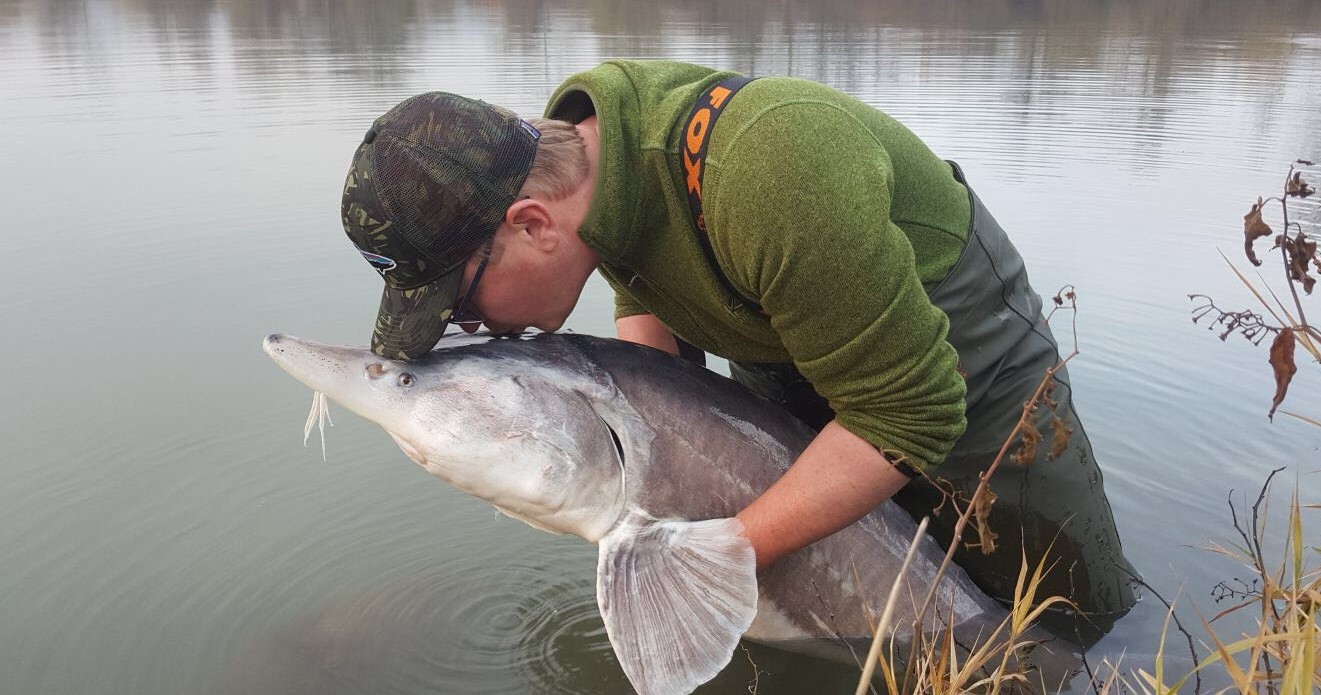 Catch & Release Karten für Gastangler 10ha Teich mit schweren Karpfen