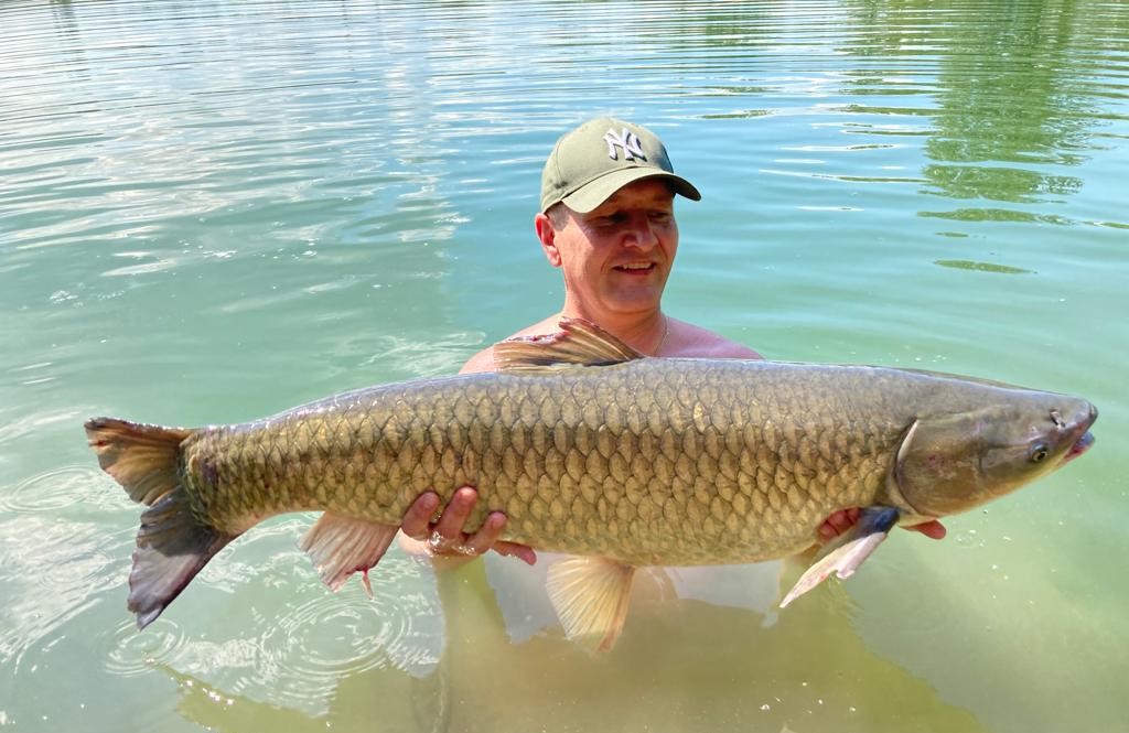 Catch & Release Karten für Gastangler 10ha Teich mit schweren Karpfen