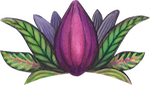 cacao mama cacao pod drawing purple