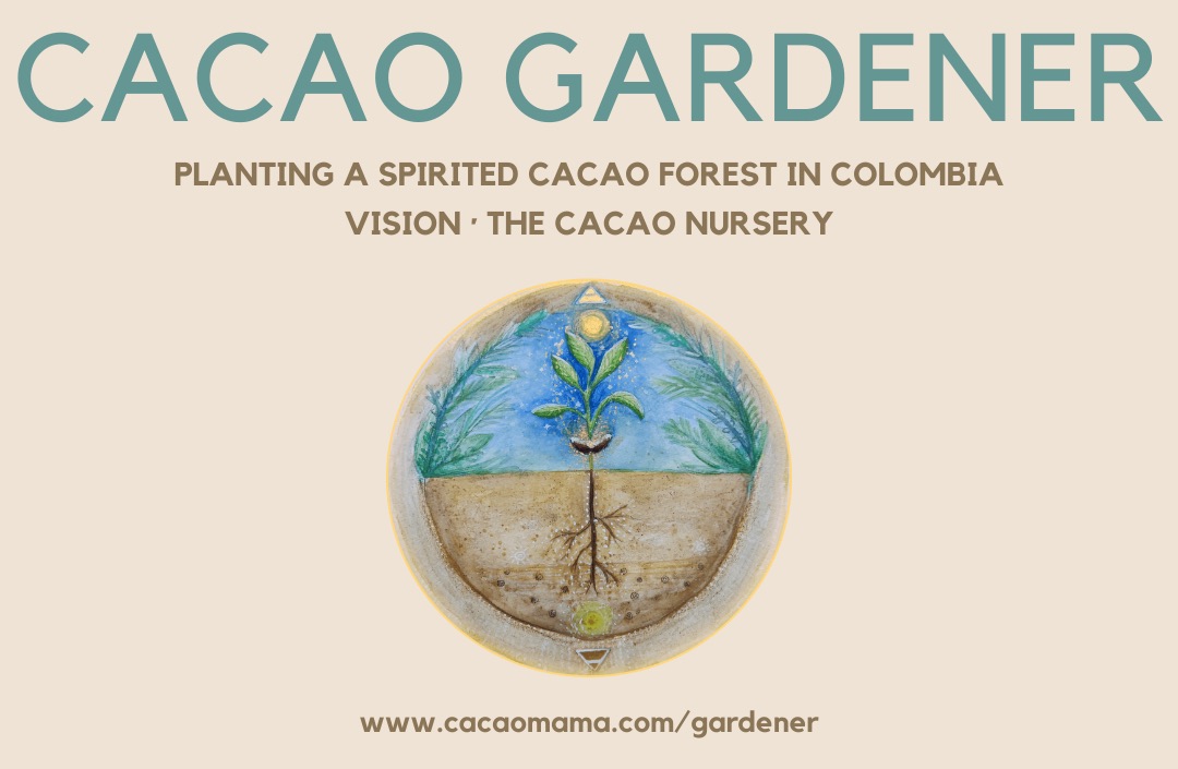 Cacao Gardener Vision · The Cacao Nursery #1