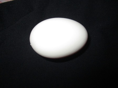 Optimales Ei , Form super Gewicht 40g 