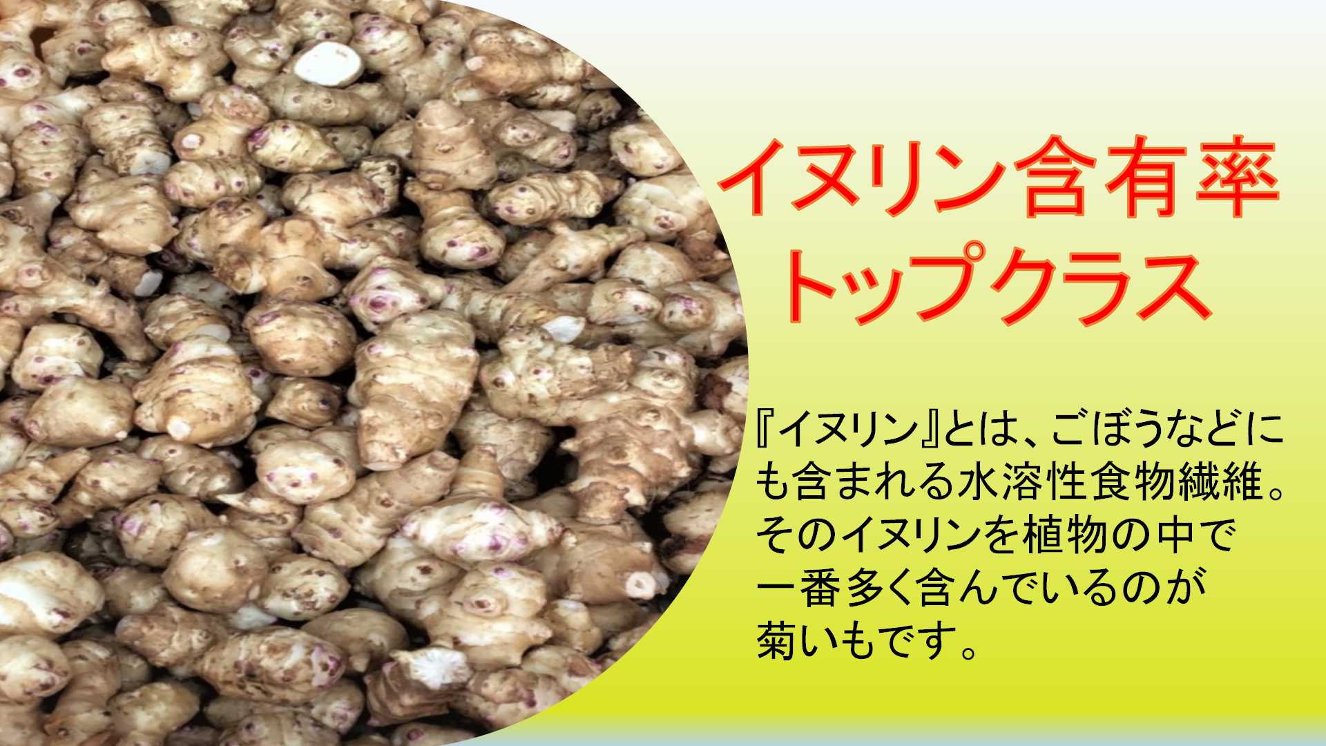 菊いもとは - ITU オリジナル商品