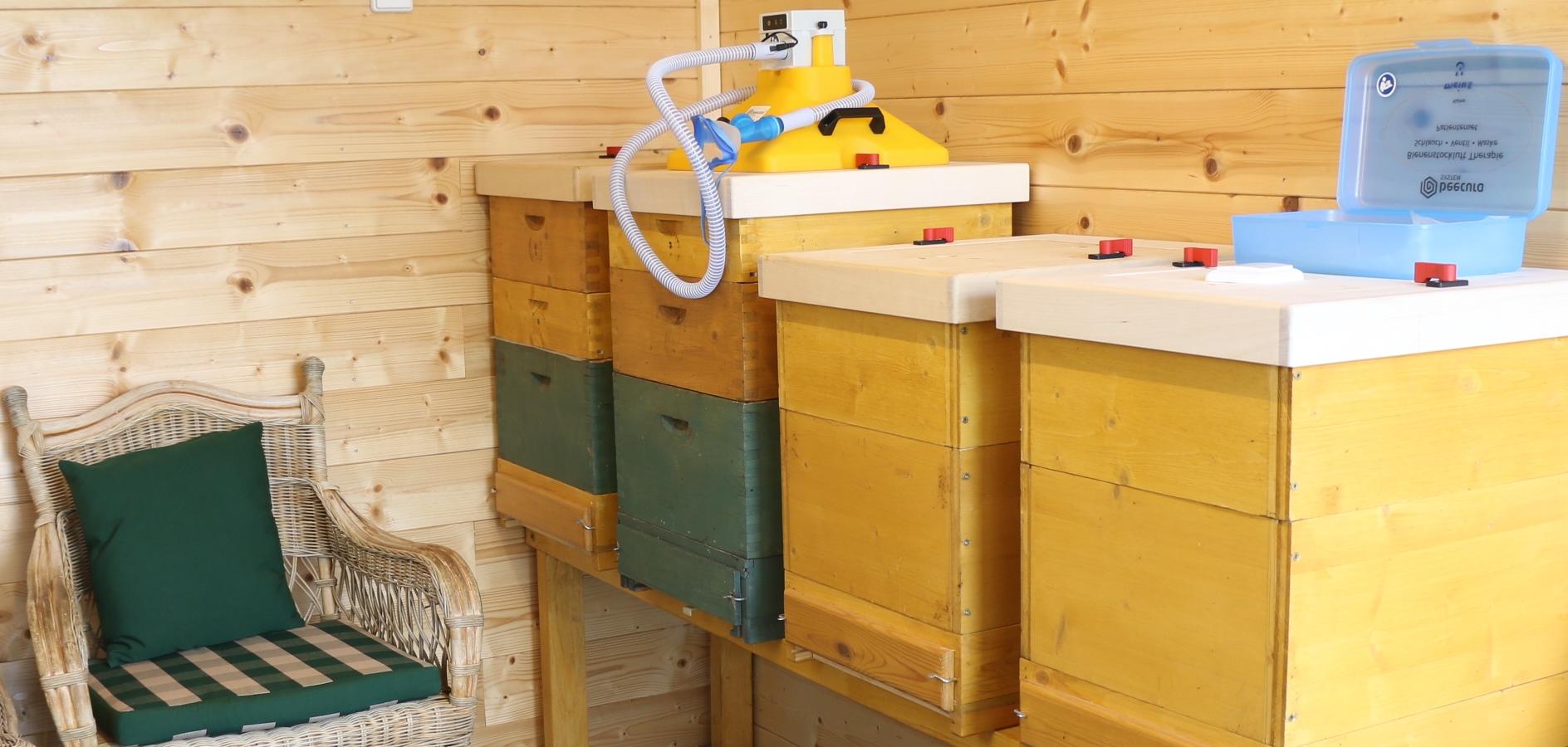 Neuer Beitrag über: Bienenstockluft Therapie vom MDR