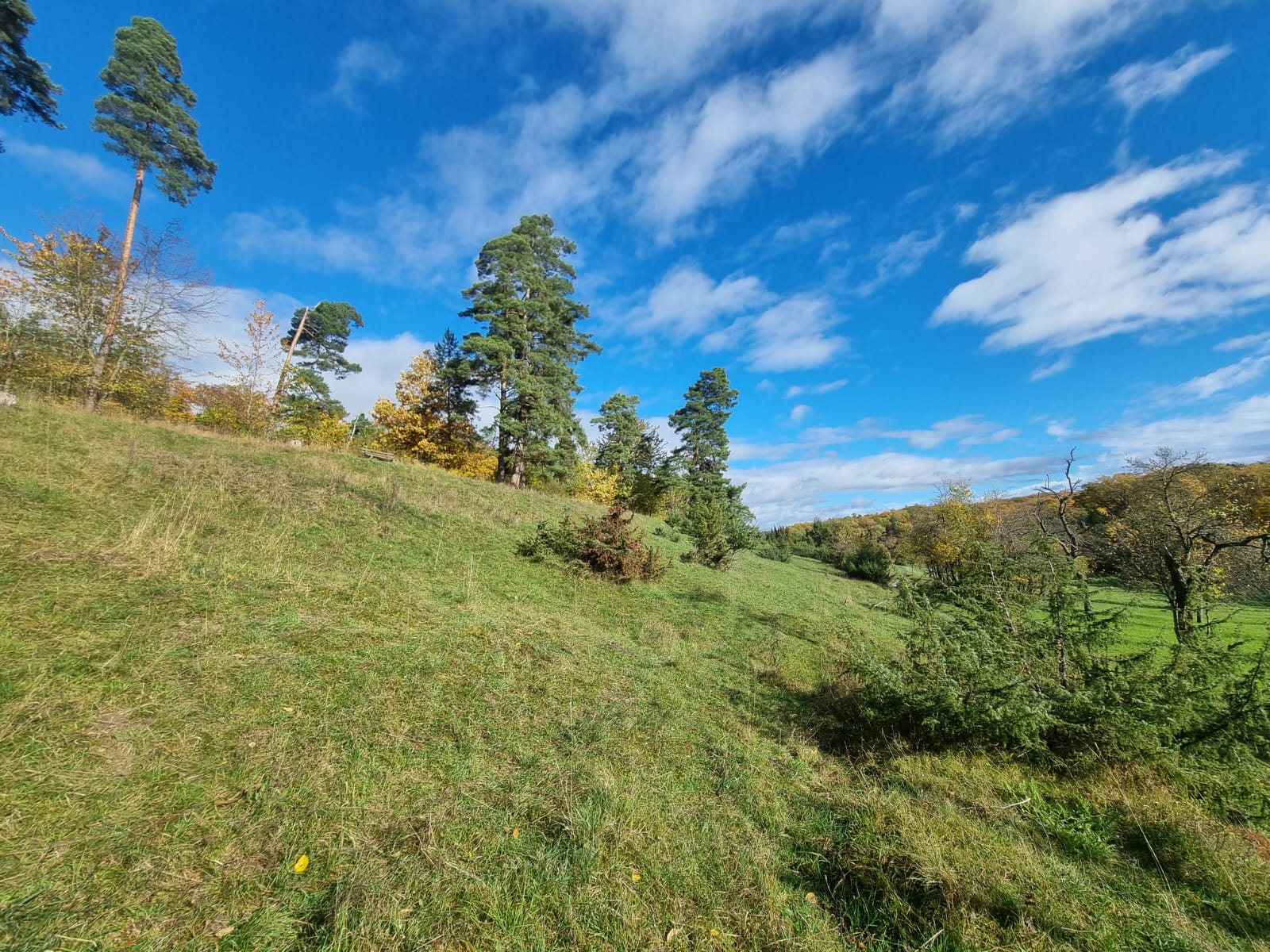 Arbeiten bei herrlichen Bedingungen. Copyright: Yannick Mauch.