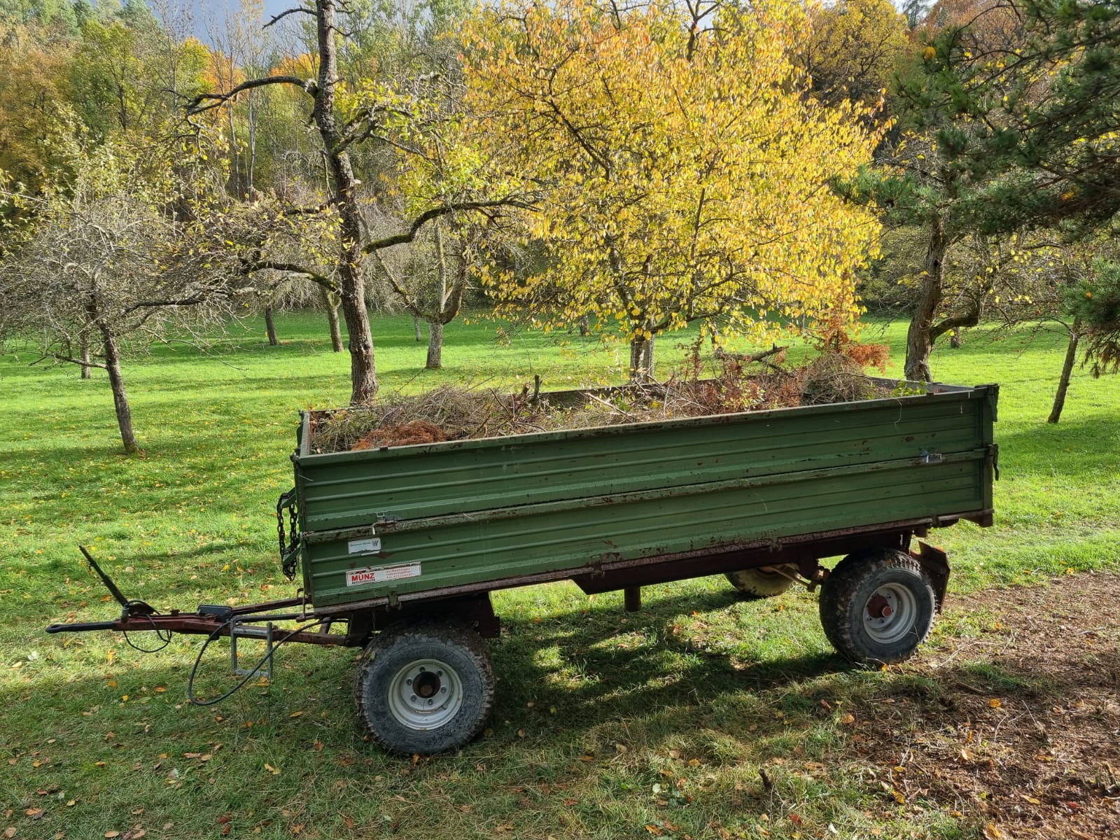 Ein ganzer Anhänger voll Reisig wurde geschafft! Copyright: Yannick Mauch.