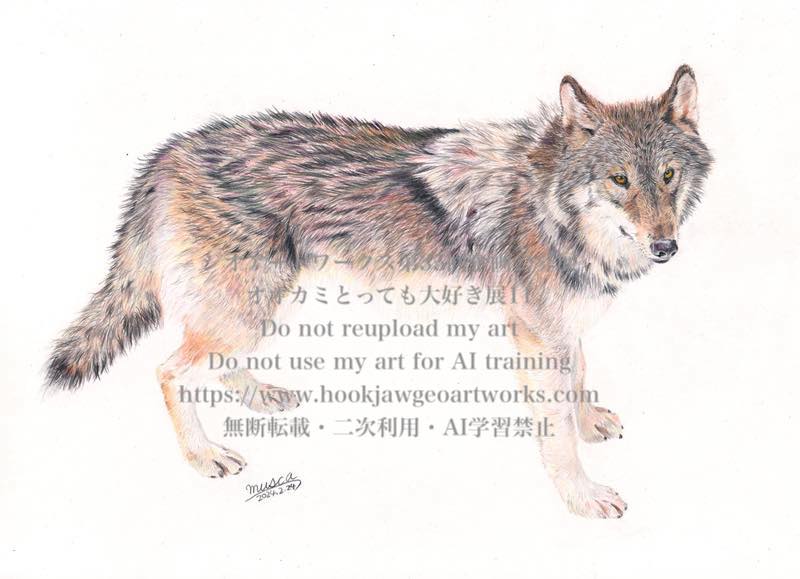 参考作品
